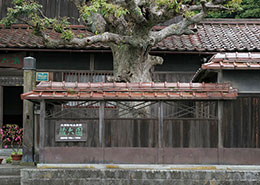 北前船船主屋敷　蔵六園