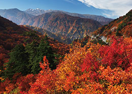 白山白川郷ホワイトロード